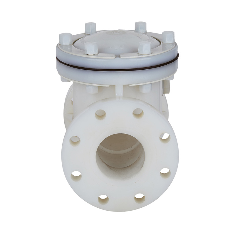 Zawór zwrotny typu wahadłowego PVDF H44F-10F DN15-300 GB Standard