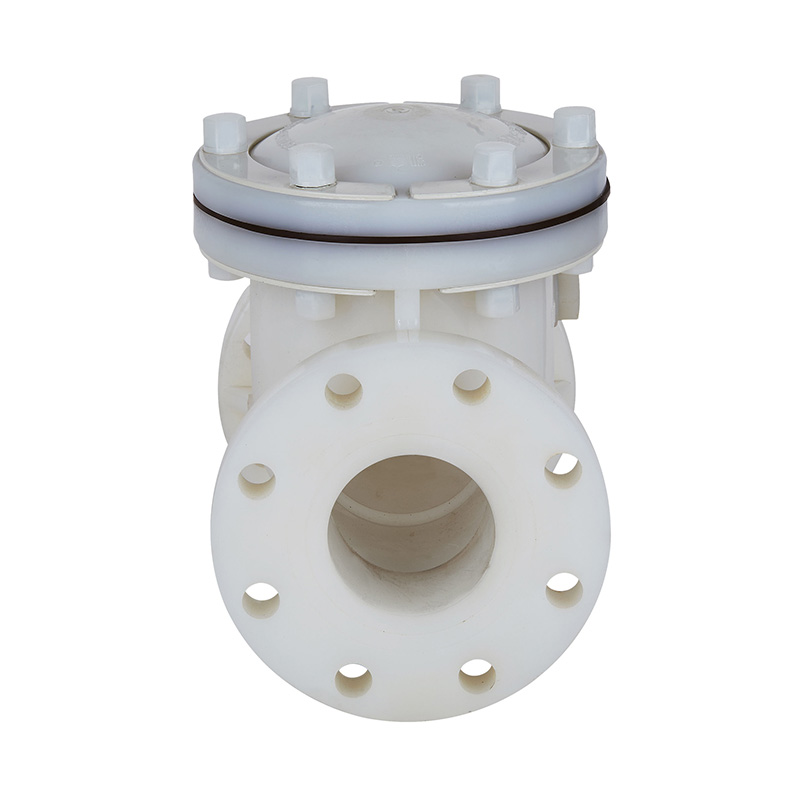 PVDF H44F-10F Zawór zwrotny typu wahadłowego DN15-300 1/2'-12' ANSI Standard