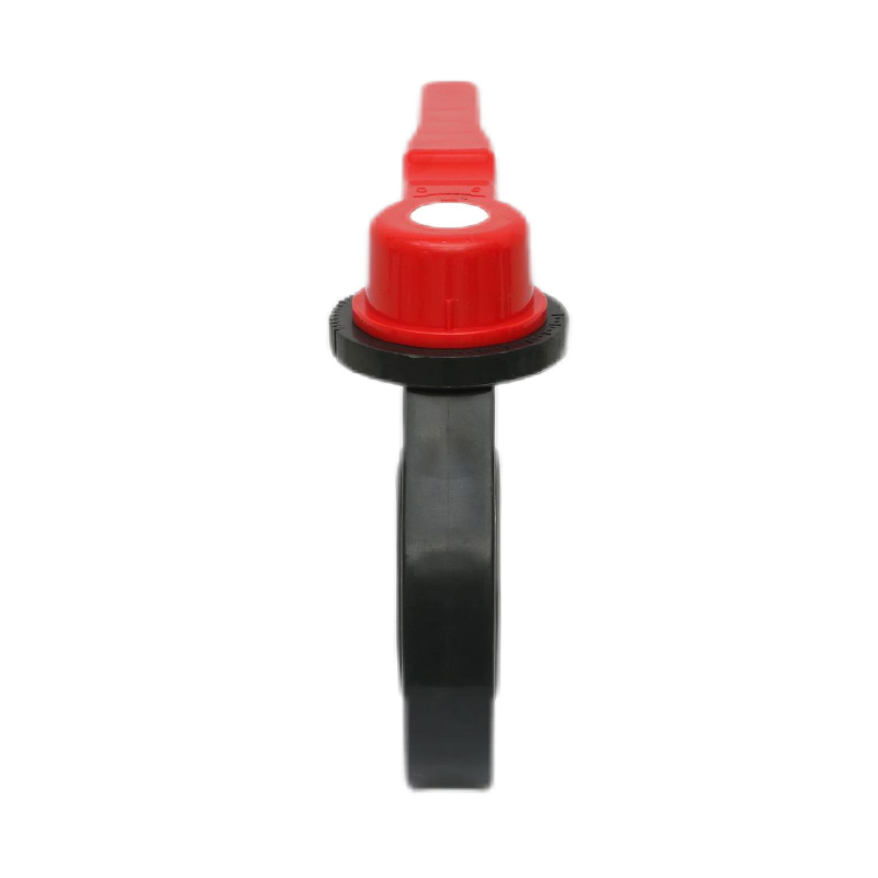 Zawór motylkowy z uchwytem FRPP D71X-10S DN15-200 GB Standard